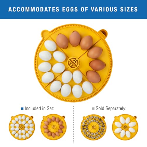 Brinsea Maxi 24 Advance Egg Incubator with Automatic Egg Turning and Temperature Control for Hatching 24 Chicken, Duck, or Other Eggs,- Optimal Flexibility with Mix & Match Sizes - size: 24 Eggs