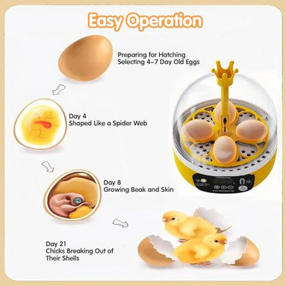 Tissting 4 Eggs Mini Incubator with Transparent Lid,7W Automatic Temperature Humidity Control,Household Small Poultry Hatching Machine,for Chickens Ducks Pigeons (Manual Turning) - color: 4 Eggs Manual Turning