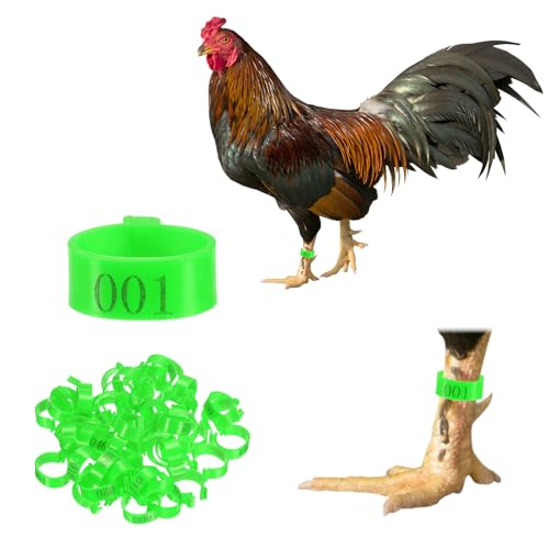 M METERXITY 50-Pack Chicken Leg Bands, 20 mm Plastic Poultry Identification Chicken Leg Rings for Turkey/Duck/Goose/Chicks, Colorful Numbered Foot Clip on Tags [Green] - color: Green, size: 20 mm