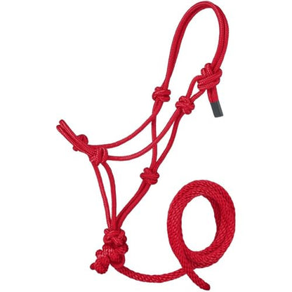 Tough1 Miniature Poly Rope Halter with Lead - color: Red, size: Large