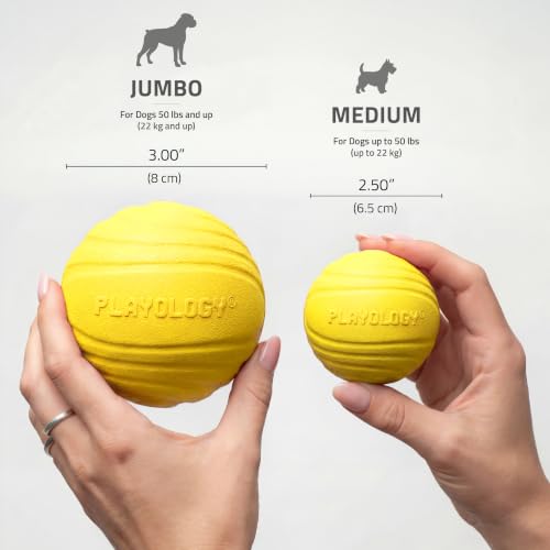 Playology Dog Toys | Dual Layer Ball Durable Chew Toy for Tough Chewers | Chicken Scented Medium Dog Toy | Chew Toys for Dogs - size: Medium, style: Chicken