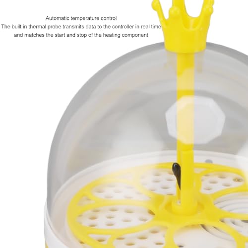 Mini Egg Incubator, 7W 4 Eggs Automatic Temperature Humidity Control Candler Poultry Hatching Machine Low Noise Tabletop Chicken Turner for Chickens Ducks Pigeons (Manual Turning) - size: Manual Turning