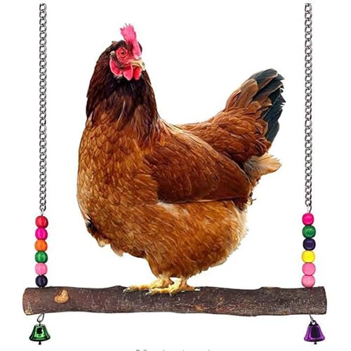 Bird Perch Toy, Natural Wooden Stand for Chick, Handmade Chicken Coop Swing for Training, Chicken Coop Accessories for Lovebird, Conure, Cockatiel, Parrot, Hens,Bird (L) - size: L