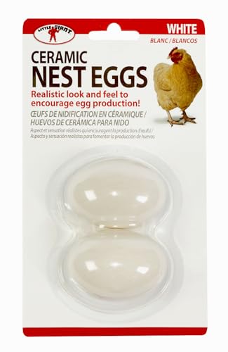 Little Giant® Large Egg Basket Kit | Chicken Egg Basket with Ceramic Eggs | Egg Collecting Basket Kit (Brown Eggs, Small Basket (8 Inches)) - color: Brown Eggs, size: Small Basket (8 Inches)