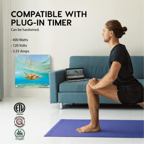 EconoHome Wall Mount Space Heater Panel - with Thermostat - 400 Watt Convection Heater - Ideal for 120 Sq Ft Room - 120V Electric Heater - Updated Model - color: Blue, size: 400W