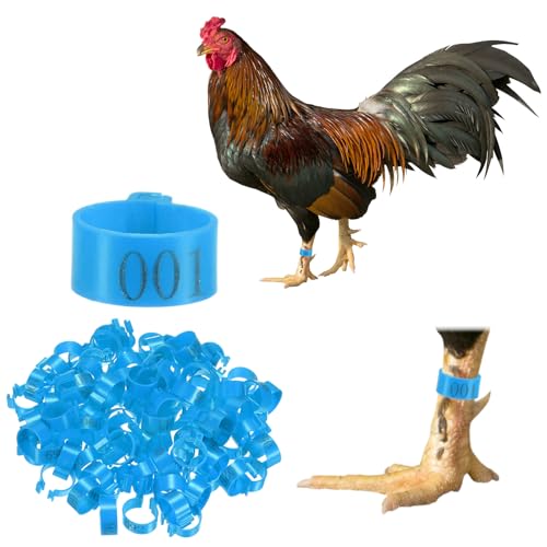 M METERXITY 100-Pack Chicken Leg Bands, 16 mm Plastic Poultry Identification Chicken Leg Rings for Turkey/Duck/Goose/Chicks, Colorful Numbered Foot Clip on Tags [Blue] - color: Blue, size: 2 x 2.1 x 1 cm / 0.79 x 0.83 x 0.4 in(L x W x H)