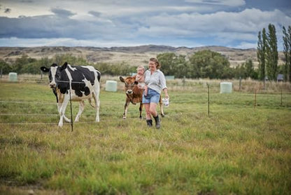 Gallagher Smart Fence 2 | Portable Electric Fence for Livestock Containment | Quick Install Temporary Field Fencing | 328ft of 4-Strand Electric Fencing with Built-in Posts and Reels
