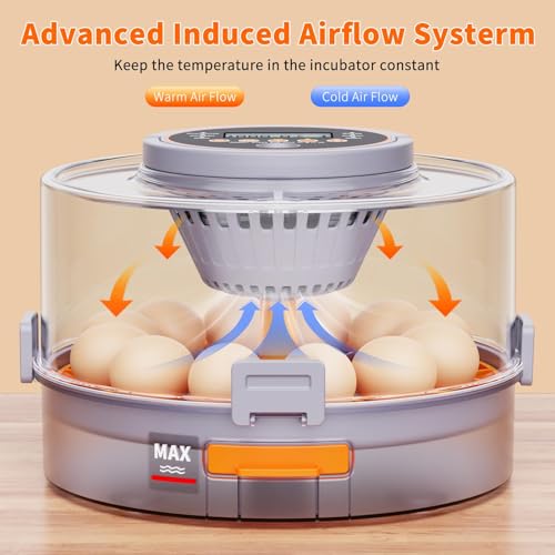 12 Egg Incubator with Automatic Egg Turning and Humidity Control 760° Turner,Incubators for Hatching Eggs, High Hatchr for Chicken Duck Quail Pigeon,Science Classroom, Home | Incubator for Chicken Eggs,Duck,Goose,Quail,Snake,Egg Incubator with Automatic E