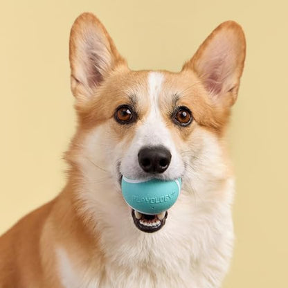 Playology Dog Toys | Squeaky Chew Ball for Dogs, Value 2-Pack | Peanut Butter Scented Medium Dog Balls | Bouncy Floating Chew Toys for Fetch - size: Medium (VALUE 2-Pack), style: Peanut Butter