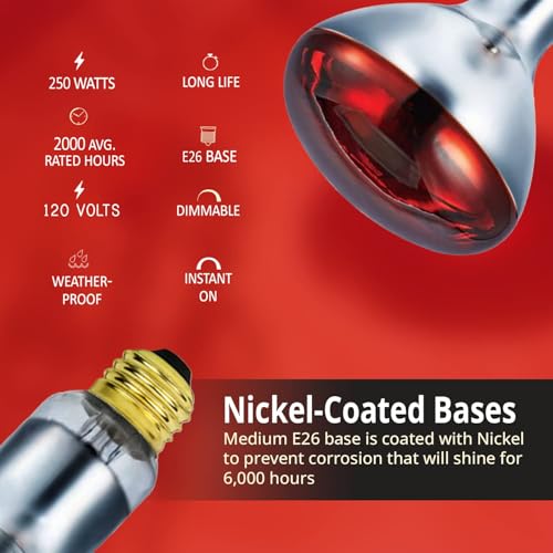 250 Watts R40 Red Heat Lamps Outdoor Bulbs for Pets Flood Light Bulb for Chickens Infrared Reflector 250W R40 Incandescent Medium E26 Base 6 Pack - style: 250W/R40/RED/2PK/S