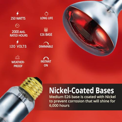 250 Watts R40 Red Heat Lamps Outdoor Bulbs for Pets Flood Light Bulb for Chickens Infrared Reflector 250W R40 Incandescent Medium E26 Base 6 Pack - style: 250W/R40/RED/2PK/S