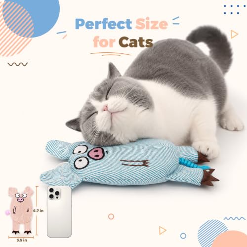 Cat Toys for Indoor Cats, 2 PCS 8000mg A+Natural Catnip Silvervine Crinkle Interactive Cat Toy Pig with Bell Elastic Tail, Baby-Grade Plush Chew Toy for Teeth Cleaning, Cat Kickers for Boredom