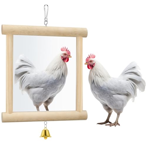Sadnyy Extra Large Chicken Mirror Toys Hanging Swing Double Side Mirror with Bell Wooden Pecking Toy for Hens Birds Parrots Coop Roosters Enrichment Toy for Poultry(Square, Wood, 1pcs) - color: Wood, size: Square