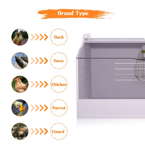 Chick Brooder Box with Heat Lamp - Suitable for Chicks, Ducks, Parrots & Lizards (19" X 12" X 12") - size: 19" X 12" X 12"