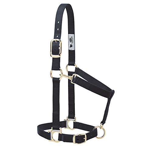 Weaver Leather Nylon Horse Halter, Padded and Adjustable, Chin and Throat Snap Hook Halters for Horses, Brass Plated Halters for Training - color: Black, size: 1" Large Horse