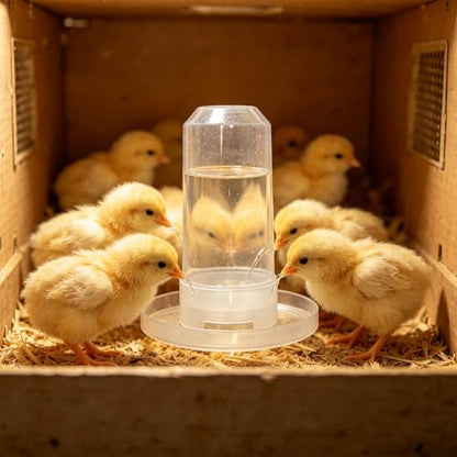 Baby Chick Feeder and Waterer Set, Poultry Starter Kit, Chick Feeder & Gravity Waterer, Compact Brooder Supplies for Chicks, Ducklings and Small Poultry (C) - color: C