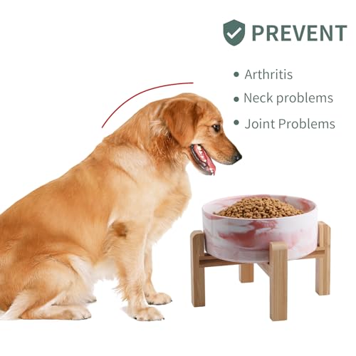 Raised/Elevated Ceramic Dog Bowl for Small Medium Sized Breeds,Dog Food Water Bowl with Stand,6 in Non Slip Heavy Pet Feeding Dish 3.6 Cups/ 850 ml /28 OZ Marble Pink - color: Marble Pink, size: 6 in