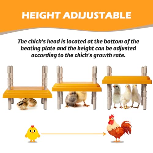 Brooder Plate for Chicks, 12" x 12" Chick Heating Plate Whit Adjustable Heights