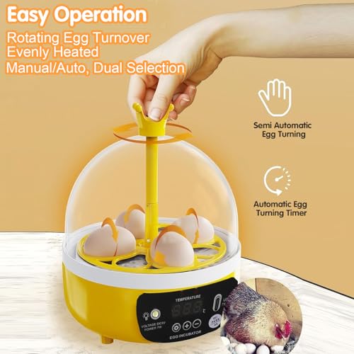 Tissting 4 Eggs Mini Incubator with Transparent Lid,7W Automatic Temperature Humidity Control,Household Small Poultry Hatching Machine,for Chickens Ducks Pigeons (Manual Turning) - color: 4 Eggs Manual Turning