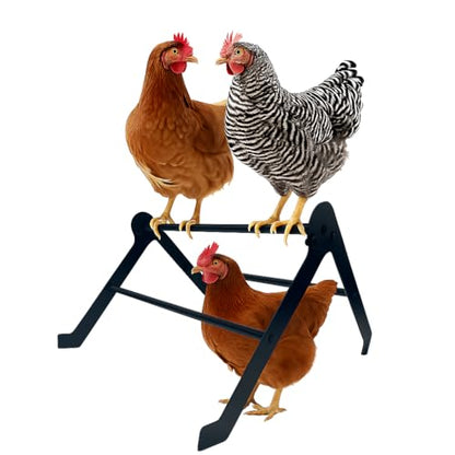 Chicken Roosting Bars for Coop – Heavy-Duty Stainless Steel Chicken Ladder & Perch for Chicks, Hens & Small Poultry, Easy to Assemble & Clean, 2-Tier Adjustable Design
