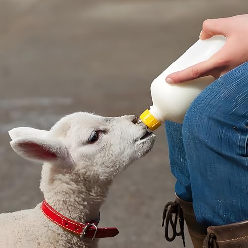 30 Pcs Goat Nipples, Soft Rubber Pacifier Animal Milk Drink Nipples for Nursing Lambs Goat Lamb Piglet Calf, Small Animal Rescue, Repeated Use of Soft Rubber Material(Leak Proof Dome)