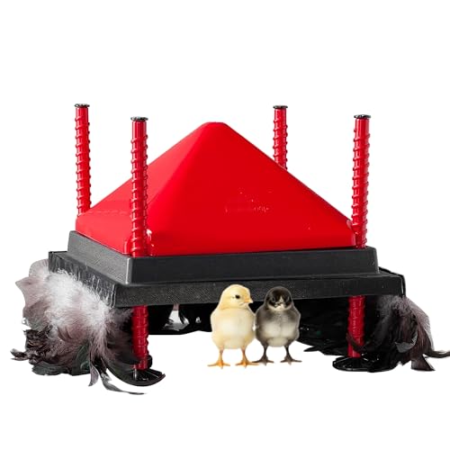 RentACoop 12x12” Adjustable Heating Plate with Hard Anti-Roost Cone Set and Removable Comfort Feathers - Chick Brooder Heat Plate Warms Up to 20 Chicks – Energy Efficient - Safer Than Heat Lamps