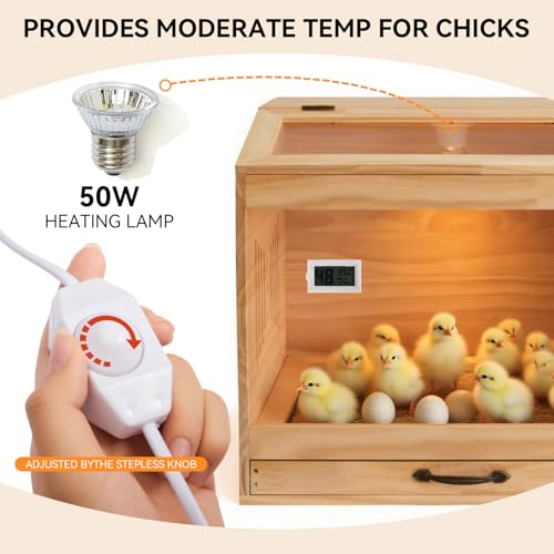 Brooder Box for Chicks with Heat Lamp Kit & Thermometer - Wooden Chicken Brooder for 12 Chicks Indoor/Outdoor - Baby Chicken Cage for Ducks, Quails, Hamsters, Lizards