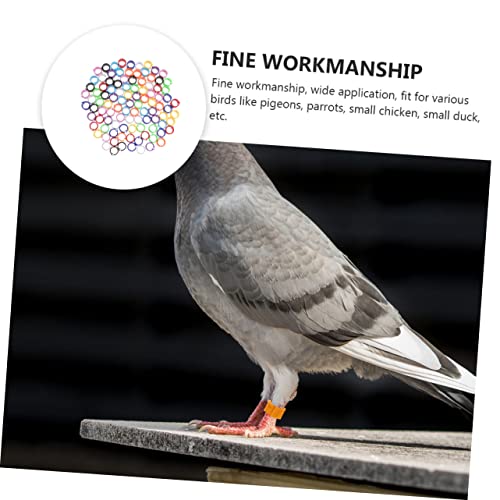 Happyyami 300pcs Blank Chicken Leg Bands for Birds Poultry Clip Leg Rings Easy Identification for Chicks Ducks and Pigeons Multi for Marking and Managing Your Birds