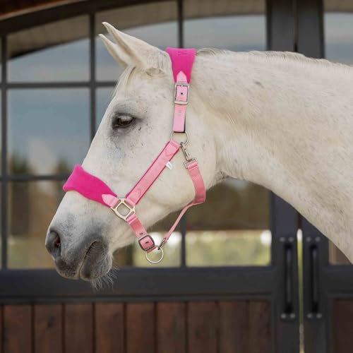 Equinavia Saga Adjustable Fleece Padded Horse Halter with Breakaway Fuse | Adjustable Halter for Horses, Inspired Style for Daily Handling, Durable, Soft Padded Equestrian Halter, Pony, Cob, Warmblood - color: Sweet Pink/Pink Flambe, size: Pony
