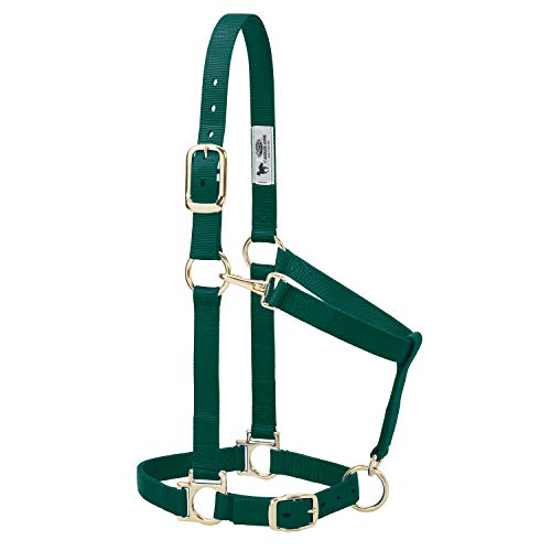 Weaver Leather Basic Adjustable Nylon Halter, Hunter Green, 1" Small Horse - color: Hunter Green, size: 1" Small Horse