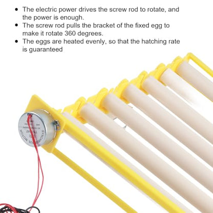 Egg Incubation Tray Automatic Egg Turner with 7 Rollers for Chicken Duck Quail Eggs, Large Capacity 16.9x16.7x2.1 Incubator Accessories for Home Farm Use