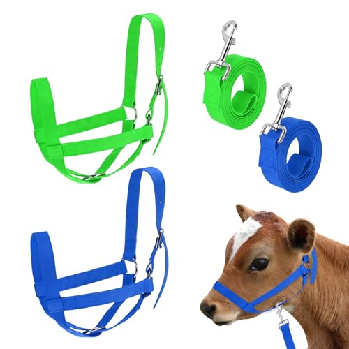 M METERXITY 2-Pack Adjustable Cattle Cow Calf Halter, 16.54"-20.47" Nylon Livestock Cow Halter with Leading Rope for Miniature Horse/Donkey/Goat/Cattle [Green, Blue] - color: Green, Blue, size: 16.54"-20.47"