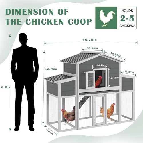 Wooden Chicken Coop for 2-6 Chickens, Outdoor Chicken House with Run & 2 Nest Boxes, Outside Hen House Poultry House Pet Hutch Chicken Cage with Waterproof Roof & Ramp, (66''LX32''WX53''H) - size: 66"L x 32"W x 53"H
