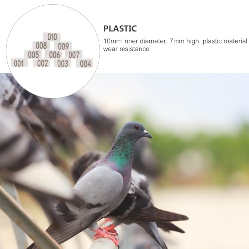 Happyyami 100pcs Pigeon Foot Bands Leg for Bird Identification Design for Racing Pigeons Parakeets and More - color: White