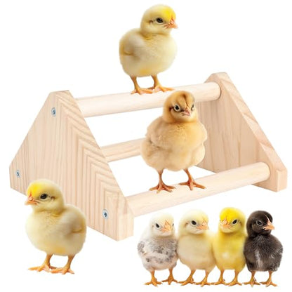 Chicken Roosting Perch - Chicken Coop Accessories & Supplies for Chicks - Natural Solid Pine Wood, Hand - Polished - Ideal Roosting Toy for Birds, Chicks & Parrots