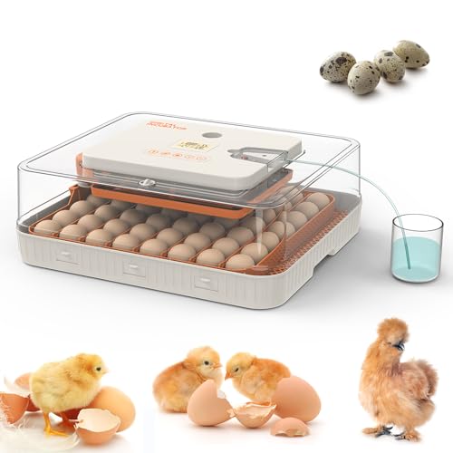 HOWOOlUA 56 Egg Incubator for Hatching Eggs with Auto Turn, Temp & Humidity Control, Built-in Candler Large Capacity Egg Incubator for Chicken Duck Goose Eggs - color: 56-ORANGE