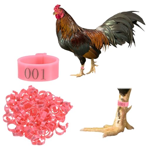 M METERXITY 100-Pack Chicken Leg Bands, 20 mm Plastic Poultry Identification Chicken Leg Rings for Turkey/Duck/Goose/Chicks, Colorful Numbered Foot Clip on Tags [Pink] - color: Pink, size: 2.7 x 2.7 x 1 cm / 1.06 x 1.06 x 0.4 in(L x W x H)