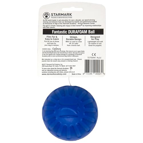 Starmark Fantastic DuraFoam Ball Tough Dog Toy, Color Varies Medium (Pack of 4) - size: Medium (Pack of 4)
