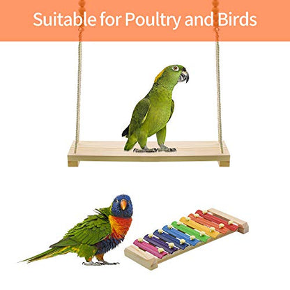Swing Toys Xylophone, 2pcs Chicken Toys for Poultry Run, Rooster Hens Chicks Pet Parrots Macaw Entertainment, Stress Relief for Birds - size: 2pcs Chicken Swing Toys Set