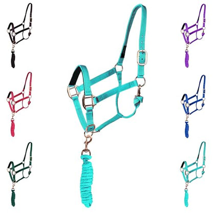 Majestic Ally Halter with Lead Rope for Horses–Adjustable Chin and Crown–Rolled Throat Latch with Replaceable Snap–Padded Noseband–Heavy Duty Rose Gold Finish Hardware - color: Turquoise