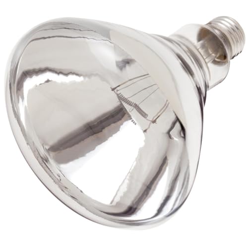 Satco S4885-250 Watt R40 Incandescent Clear Heat Light Lamp Bulbs - 120 Volt - Shatter Proof - Rated for 6,000 Hours (2 Pack)