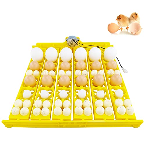 Automatic Multifunction Incubator Egg Tray With 110V Motor Turning Hatcher for Chickens/Ducks/Birds/Poultry (36-tray-110V) - color: 36-tray-110V