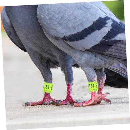 BESPORTBLE 100pcs Mixed Pigeon Leg Bands Foot Rings for Poultry Birds and Chickens Easy Identification Supplies for Racing Pigeons Parakeets and Style