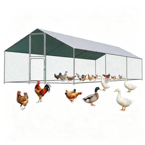 Large Metal Chicken Coop, Walkin Poultry Cage for 30 Chickens with Full-Coverage PE Roof, Waterproof & Anti-UV Cover, Double Lockable Doors, Outdoor Hen/Duck/Rabbit House (20x10x 6.5 FT) - size: 236.0"L x 118.0"W x 79.0"H