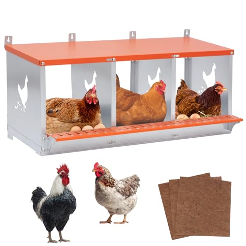 Chicken Nesting Box for Laying Eggs (31.8" L x 17" W x 15" H) | 3 Room Chicken Laying Boxes, Nesting Boxes for Chickens, Heavy Duty Metal Chicken Coop - size: 31.8" L x 17" W x 15" H