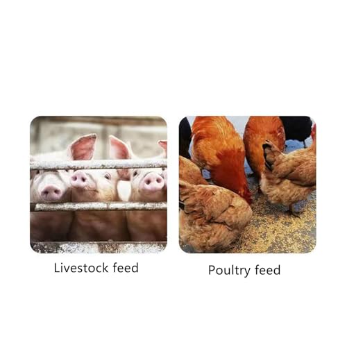 Plastic Feed Scoop 3 Pack | Sturdy Handheld Feed Shovel for Livestock/Poultry/Horses | Resilient & Water - Feeding Tool with Ergonomic Handle