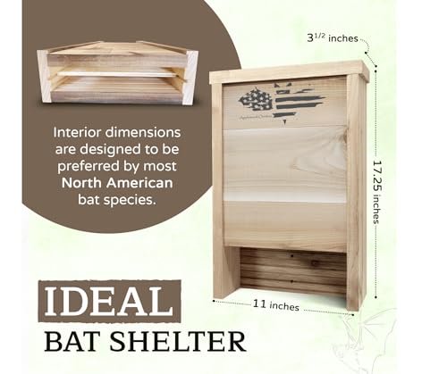 Made in USA, Premium-Grade Red Cedar Bat House, 2 Chamber Bat Box, Easy-to-Install Wooden Bat House Kit, Weather-Resistant Bat Houses for Outdoors, Includes Mounting Screws - Applewood Outdoor - style: 2 Chamber Cedar