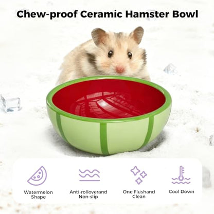 Hamster Food Bowl - Ceramic Guinea Pig Bowl Anti-Turning Small Pet Food Feeding Dish for Rabbit Rat Gerbil Mouse Chinchilla (Red) - color: Red