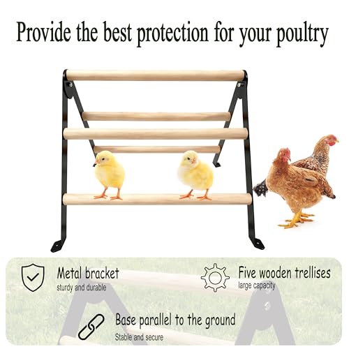 Baby Chick Perch Toys for Coop, Metal Stand with Natural Wooden Roosting Bars,Angle-Adjustable Chicken Coop Toys, Birds Training Platform for Cockatiels, Lovebirds and Parrot,15.7"L x 17.7"W x 13.2"H