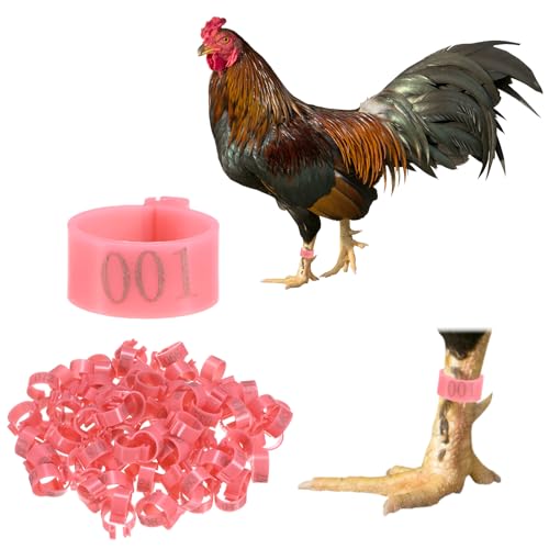 M METERXITY 100-Pack Chicken Leg Bands, 16 mm Plastic Poultry Identification Chicken Leg Rings for Turkey/Duck/Goose/Chicks, Colorful Numbered Foot Clip on Tags [Pink] - color: Pink, size: 16 mm